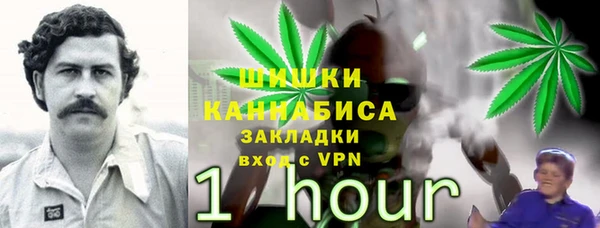 дживик Балабаново