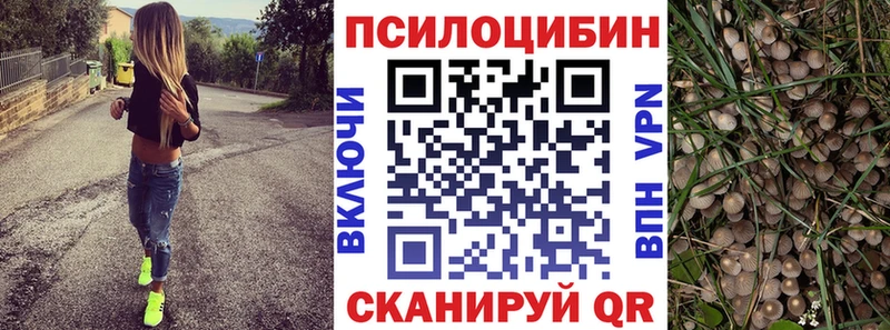 Галлюциногенные грибы Cubensis  Буинск 