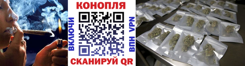 Канабис семена  Буинск 